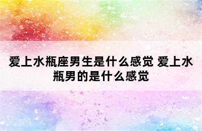 爱上水瓶座男生是什么感觉 爱上水瓶男的是什么感觉